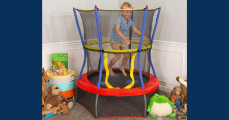 skywalker mini trampoline