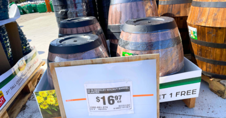 wine barrel planters