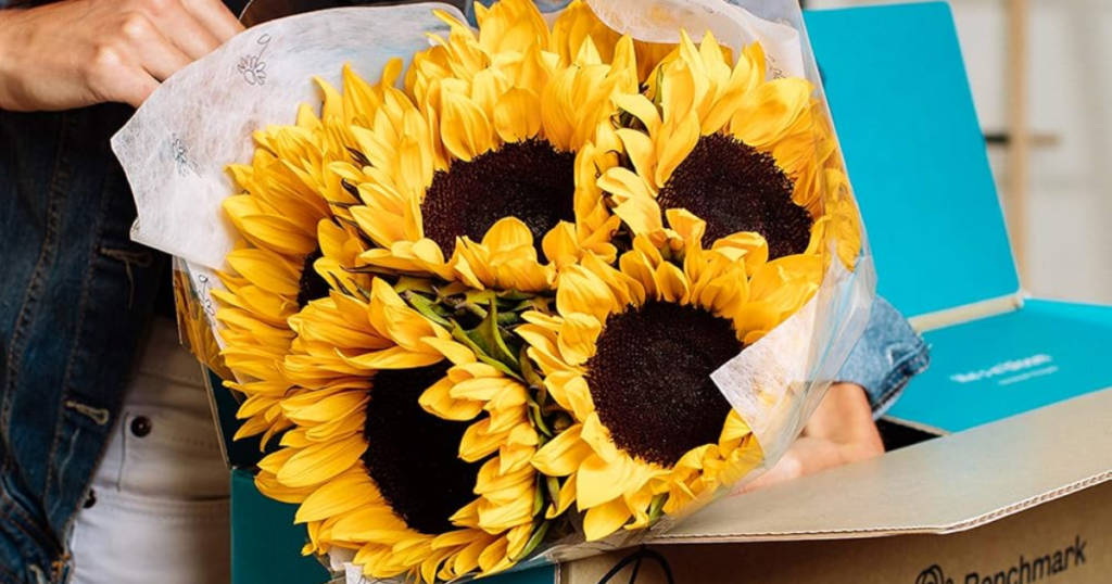 Amazon Flowers Amazon Flowers