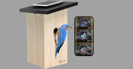 Birdfy Smart Birdhouse