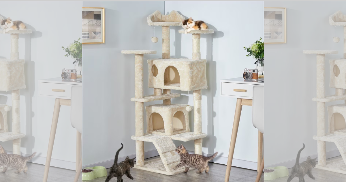 Cat Tree Cat Tree