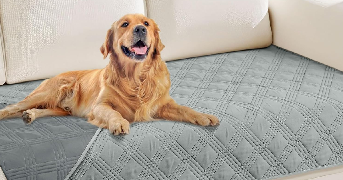 DOG BLANKET DOG BLANKET