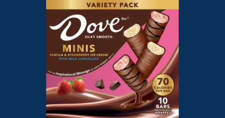 DOVE Ice Cream Minis