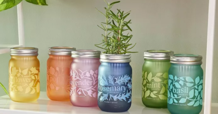 Modern Sprout Grow Kits