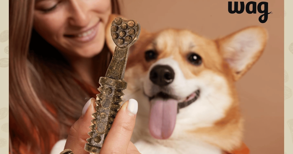 Wag Dental Chew Wag Dental Chew