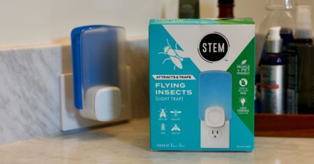 stem fly trap scaled