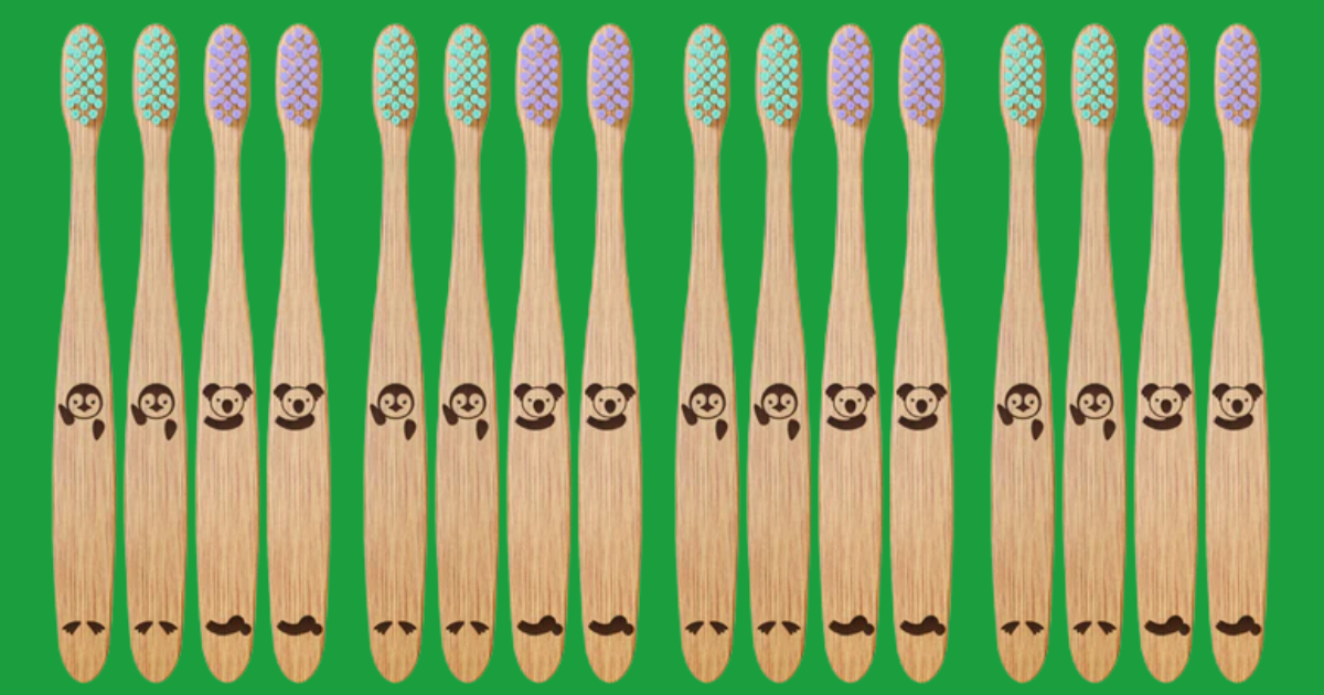 2 Free Dr Noah Kids Bamboo Toothbrushes