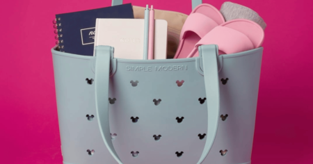 Disney Simple Modern Bag