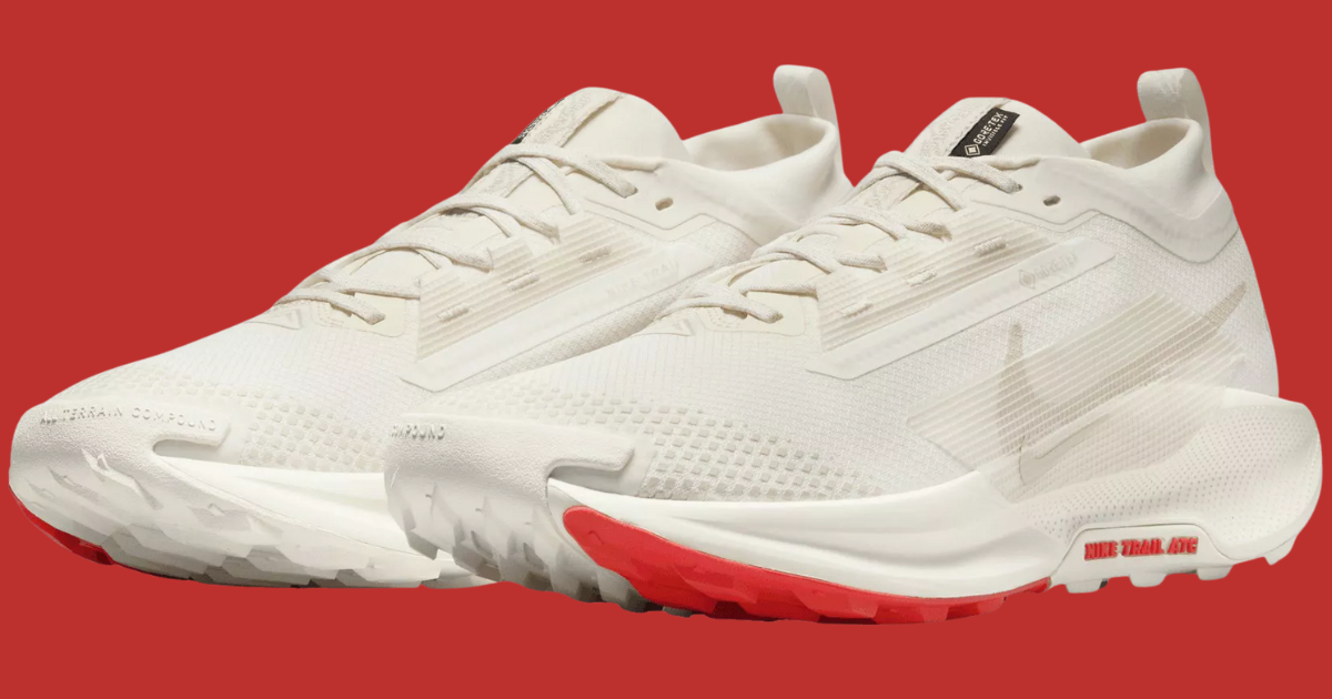 NIKE PEGASUS NIKE PEGASUS