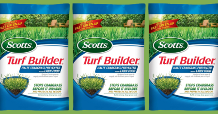 SCOTTS TURF BUILDER