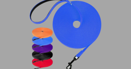 Untitled 1200 x 663 px 20250601 114342 0000