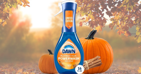Dawn powewash spray pumpkin spice