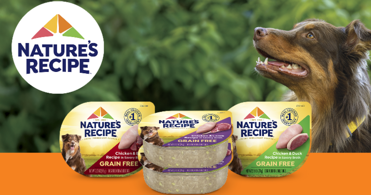 FREE Nature s Recipe Grain Free Dog Food Sample