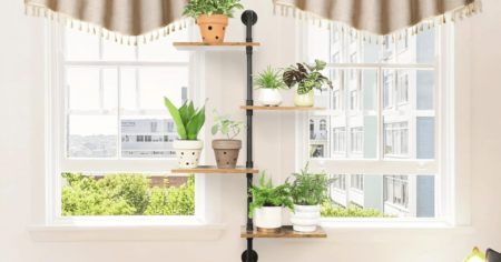 Plant Stand