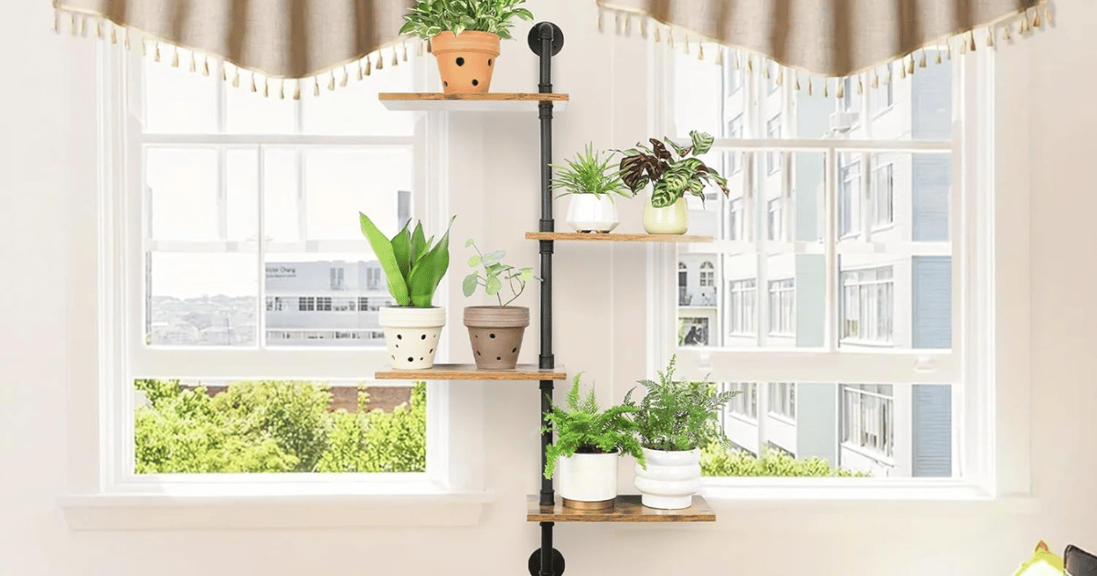Plant Stand