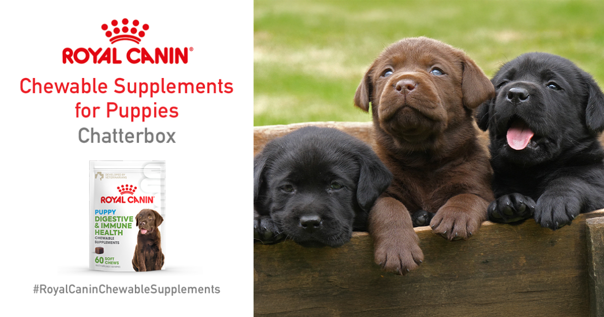 Royal Canin Chewable Supplements for Puppies Chatterbox FREE Royal Canin Chewable Supplements for Puppies Chatterbox
