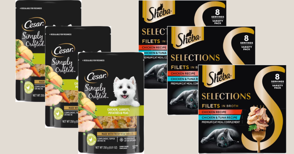 Sheba Cesar Sheba Cesar