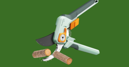 Untitled 1200 x 663 px 20250711 122356 0000