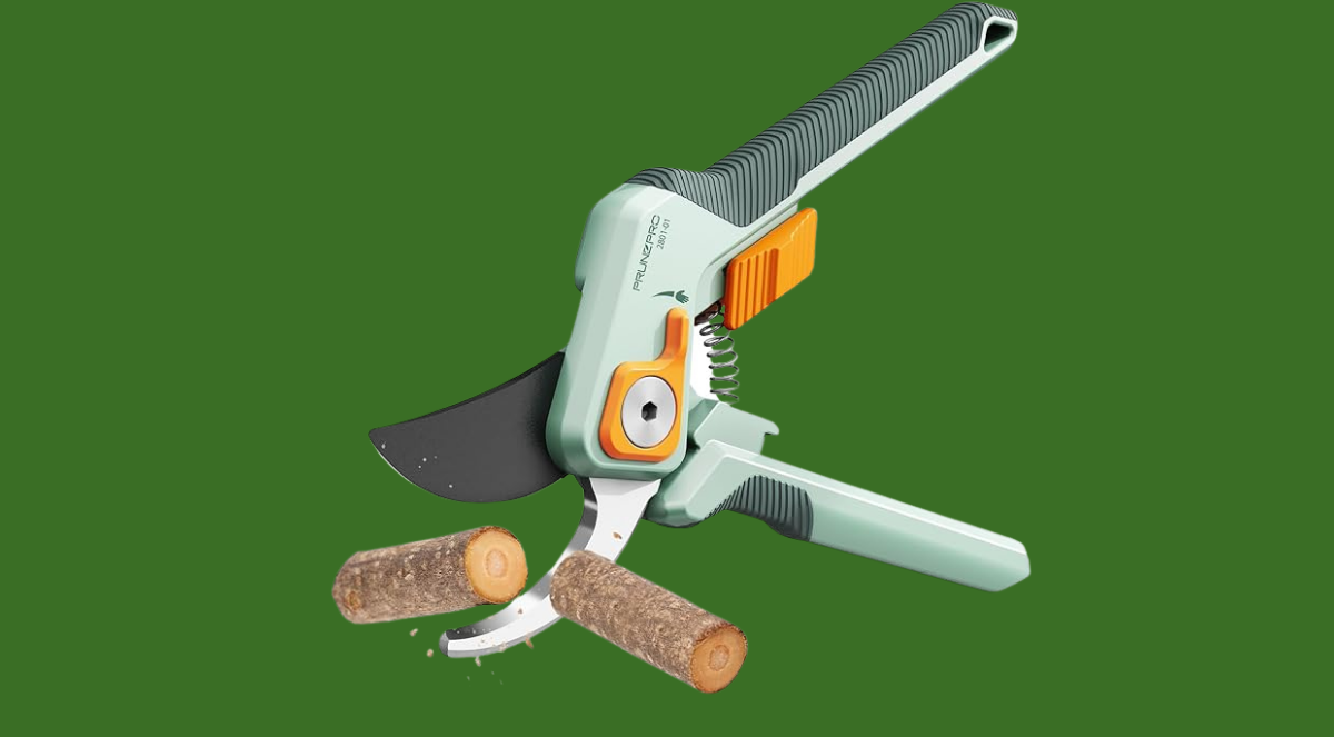 Untitled 1200 x 663 px 20250711 122356 0000