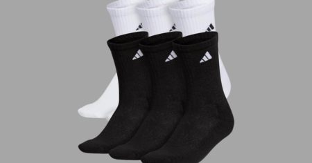 Untitled 1200 x 663 px 20250711 131415 0000