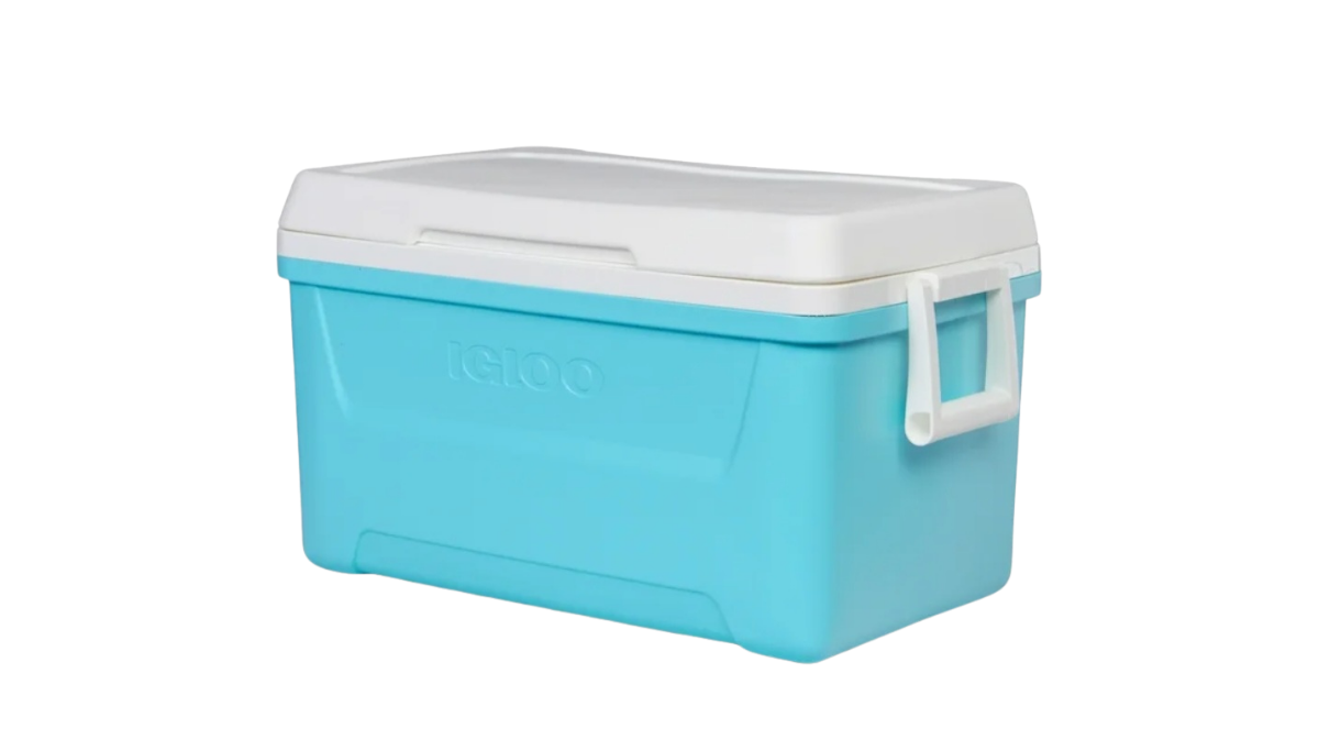 Untitled 1200 x 663 px 20250713 175119 0000