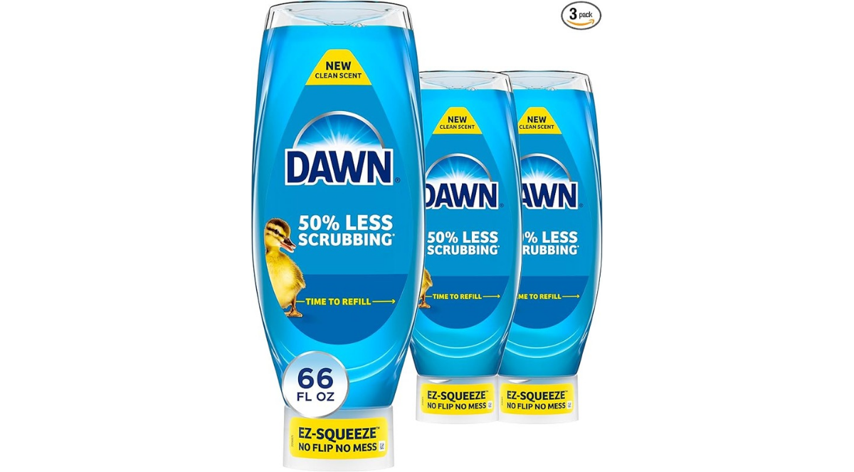 Untitled 1200 x 663 px 20250717 155220 0000