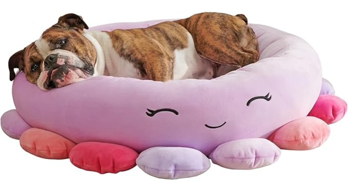 Untitled 1200 x 663 px 20250730 145255 0000