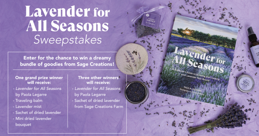 lavender for all seasons