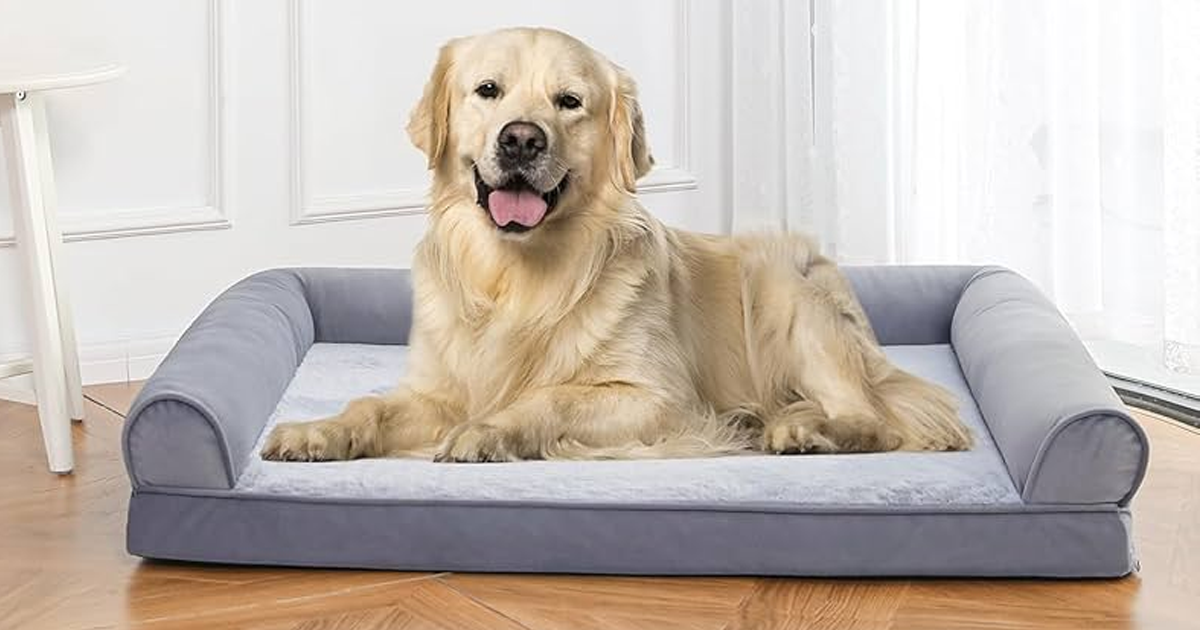 Amazon Basics Foam Living room couch dog bed with removable cover Amazon Basics Foam Living room couch dog bed with removable cover