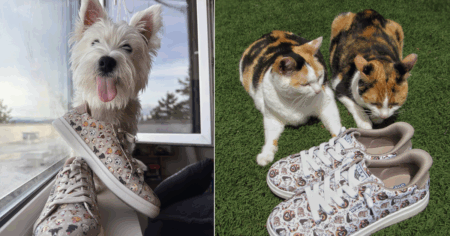 Bobs from Skechers Paws for a Cause Scholarship Contest