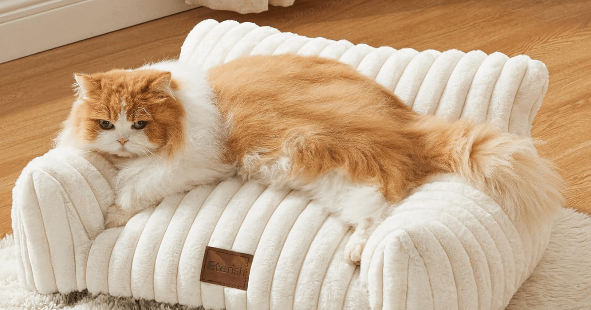 Eterish Pet Couch