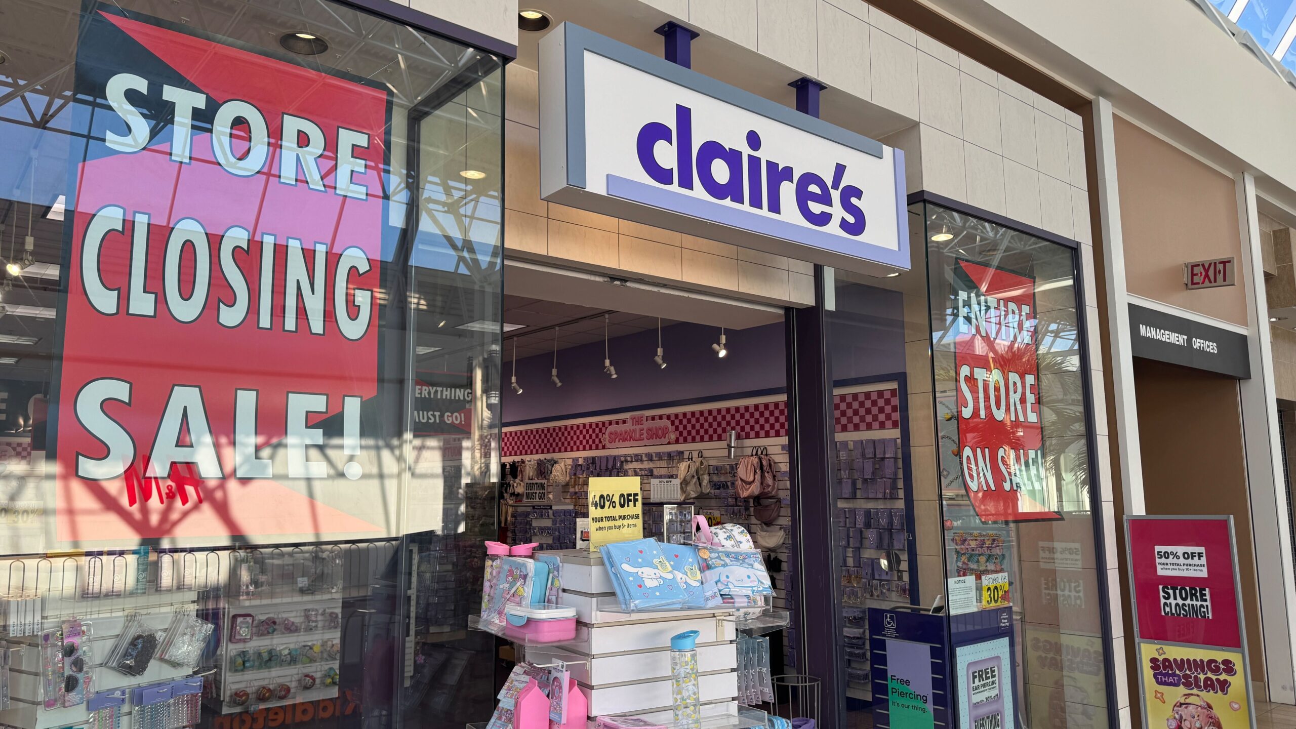 IMG 8378 IMG 8378 1 scaled