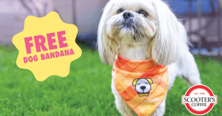 Scooter s Coffee Free Bandana for National Dog Day