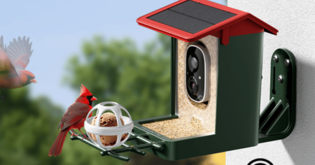 Smart Bird Feeder