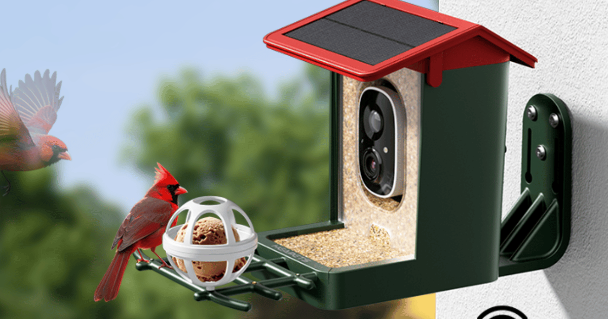 Smart Bird Feeder