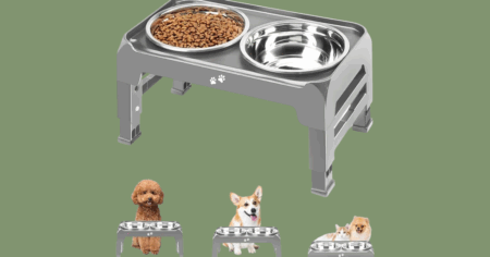 Untitled 1200 x 663 px 20250814 145058 0000