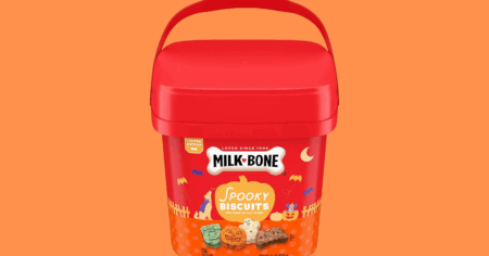 Untitled 1200 x 663 px 20250824 164226 0000