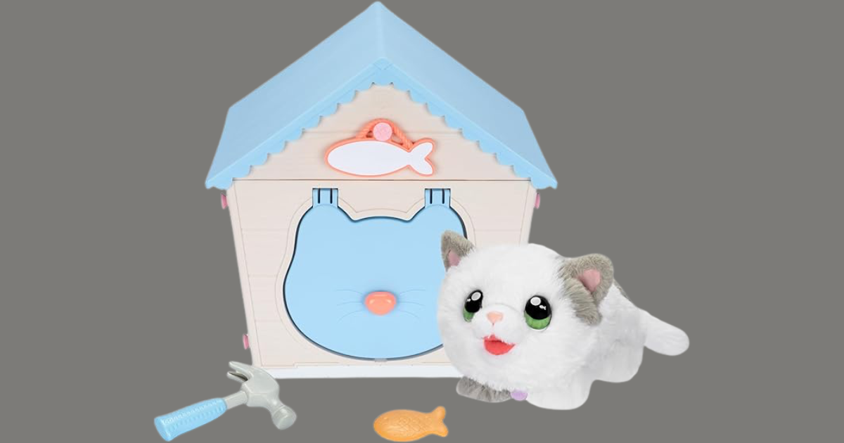 littlelivecat littlelivecat