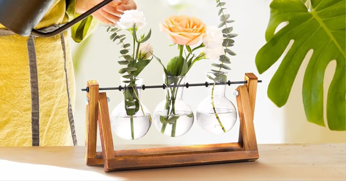 plant terrarium plant terrarium