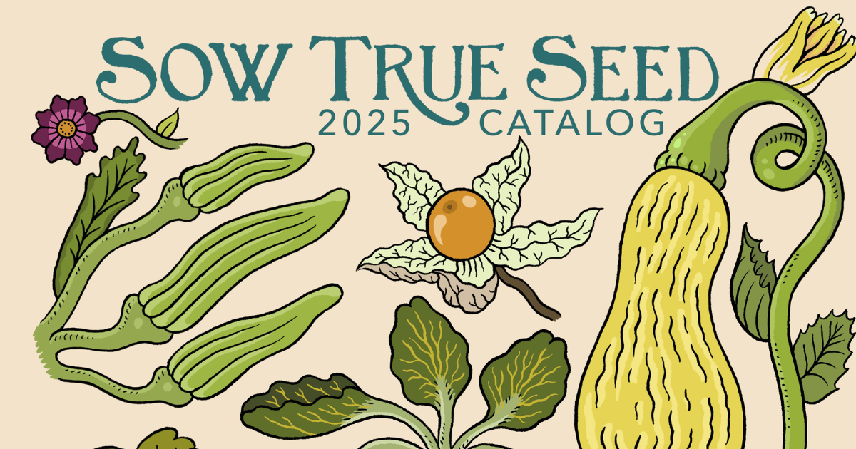 sow true seed catalog